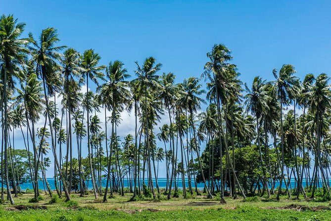 Private Tahiti Circle Island - Waterfalls, Black Sand & Views - The Value for Money