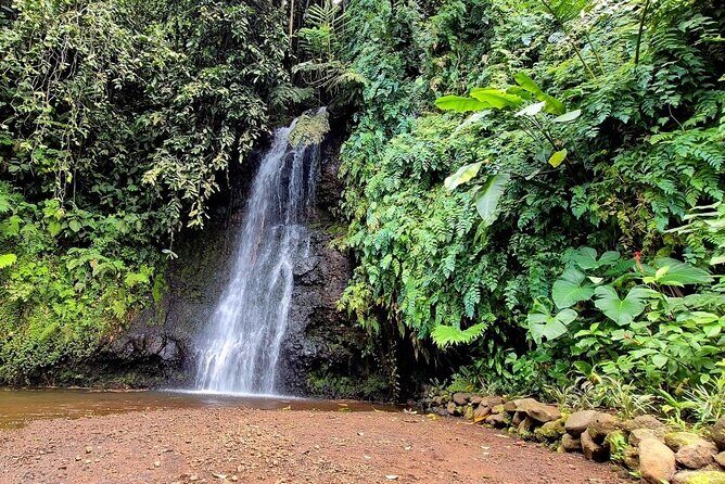 Private Tahiti Island Discovery Tour 5.5 Hours - Who Will Love This Tour?