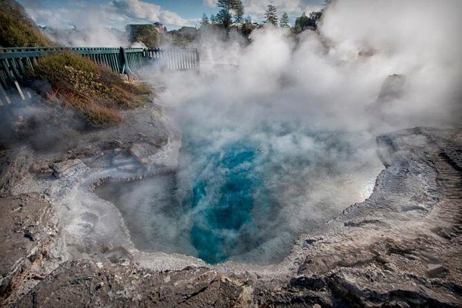 Private Tauranga Day Trip - Rotorua "Whaka Living Mori Village" - Visiting the Kiwi Fruit Orchard and Other Highlights
