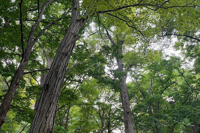 Private Temple Tour with Zazen Meditation - A Closer Look at the Itinerary