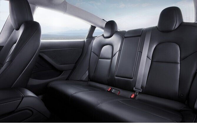 Private Tesla Transfer: Auckland, Tauranga, Rotorua, Taupo - Pricing and Value