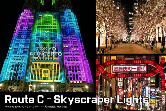 Private Tokyo Night Time Sightseeing Ride 3 Scenic Route Options - Analyzing the Value