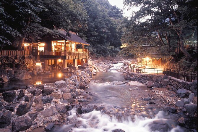 Private Tokyo Tour guide Japanese disco, clubs. Dancing any where translate. - Practical Details