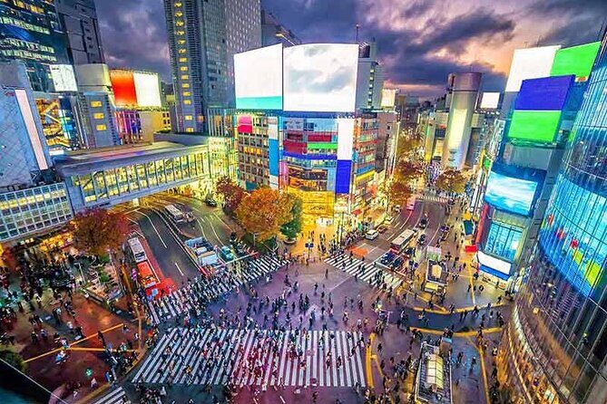 Private Tokyo Tour with English Speaking Guide - What Travelers Say