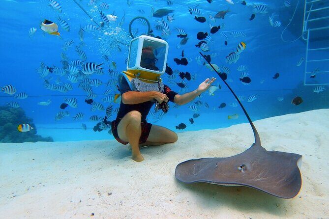 Private Tour: Aqua Safari Scuba Diving - In-Depth Review of the Bora Bora Helmet Diving Experience