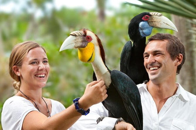 Private Tour Bali Bird Park And Ubud Tour - Who Would Love This Tour?
