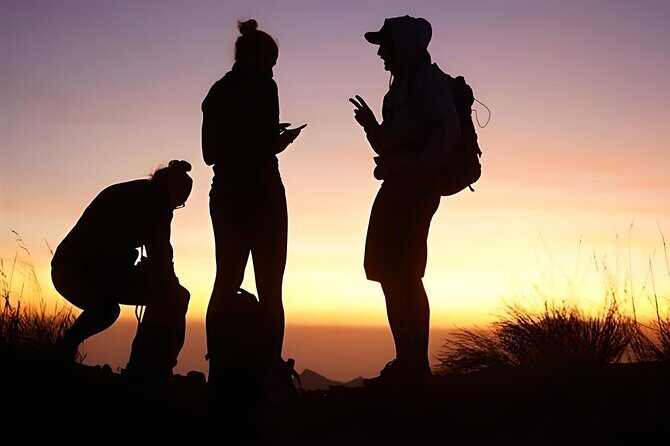 Private Tour: Bali Mount batur Sunrise Hike & coffe Platantion - Who Would Love This Tour?