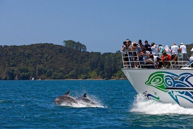 Private Tour: Bay of Islands Day Trip from Auckland - Final Thoughts