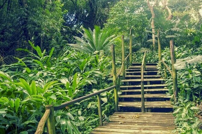 Private Tour: Best of Nadi Highlights - The Value of a Private Guided Day