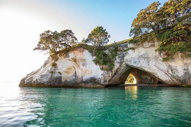 Private Tour - Coromandel Beach, Caves & Forest - Practical Tips for Your Day Out