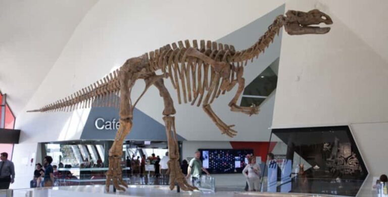 Private Tour: From Sydney to Canberra Full Day Tour - Exploring Canberra’s Key Landmarks