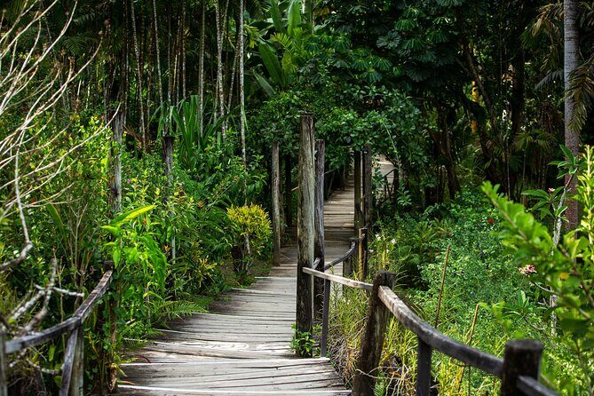 Private Tour: Hot spings & Sleeping Giant Garden hiking Adventure - Authentic Encounters and Local Flavor