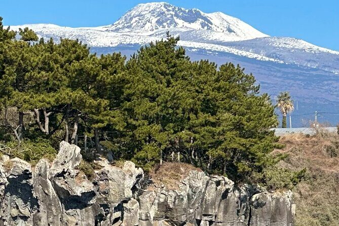 Private Tour in South Jeju including Yacht Cruise - Who Will Love This Tour?