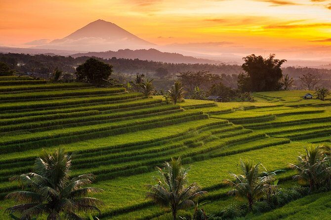 Private Tour: Jatiluwih Rice Terraces - Ulun Danu Temple - Bayumala Waterfalls - Overview of the Tour Experience