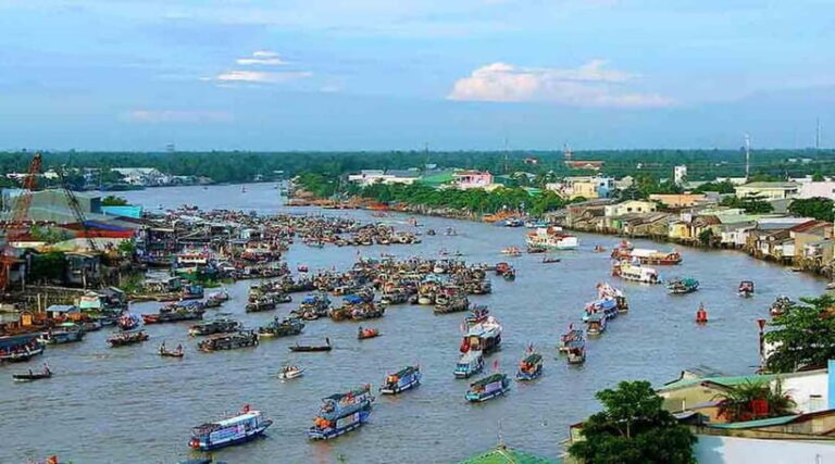 Private Tour Mekong Delta Cai Rang Floating Market - An In-Depth Look at the Tour Experience