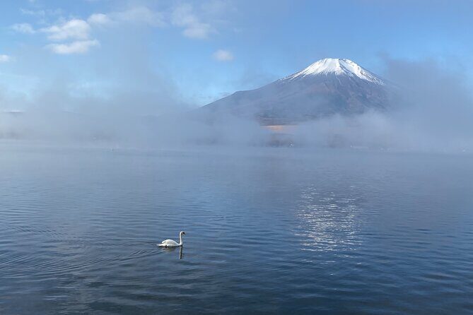 Private Tour Mt. Fuji Hakone Yokohama - Who will love this tour?