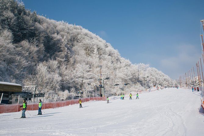 [Private Tour] Nami Island & Snow Viewing and Snow sled (More Members Less Cost) - Authentic Experiences and Real Traveler Feedback