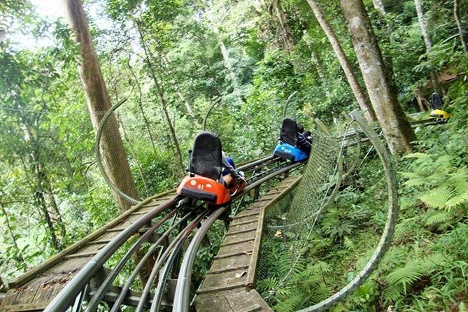 Private tour Nha Trang - Dalat excursion (starting at Nha Trang) - Authentic Experiences and Genuine Value