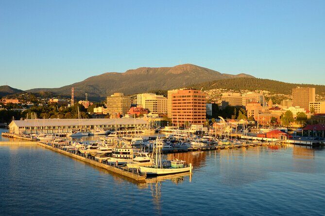 Private Tour of Tahune Airwalk and Hastings Caves from Hobart - Practical Details and What You Should Know