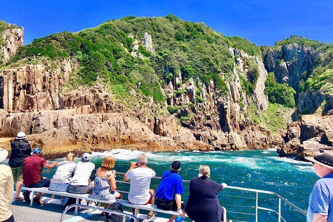 Private tour: Port Stephens, departing Newcastle - Whales! - What Travelers Are Saying & Why It Matters