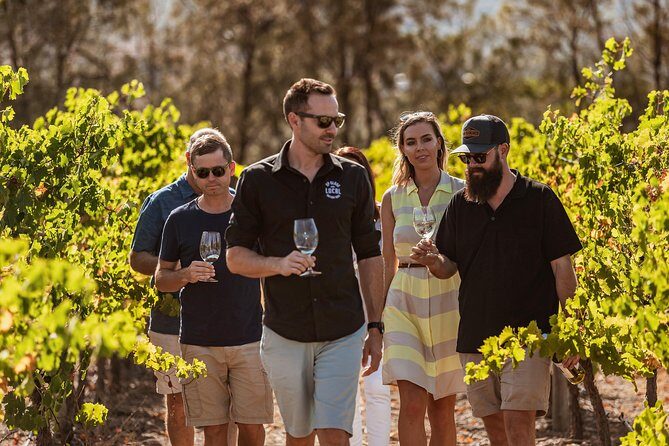 Private Tour: Premium Swan Valley Wine Tour from Perth - The Itinerary: Step-by-Step