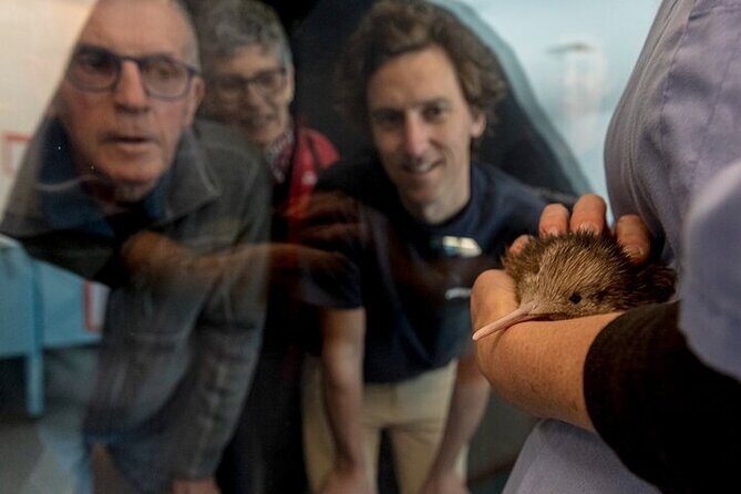 Private Tour: Rotorua Adventure, Kiwi Hatchery & Mori Culture - Final Thoughts