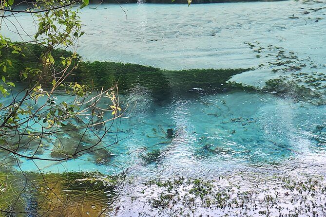 Private Tour Rotorua + Blue springs + WaiOtapu + Redwood forest - Exploring the Itinerary: A Closer Look