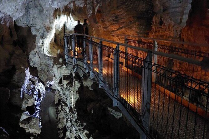 Private Tour: Ruakuri Cave, Waitomo Glowworm & Hobbiton Movie Set - Transport and Comfort