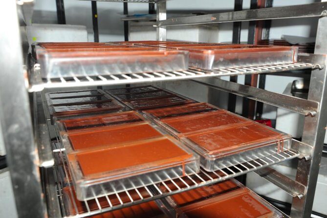 Private Tour to Aelan Chocolate Factory in Port Vila - The Sum Up