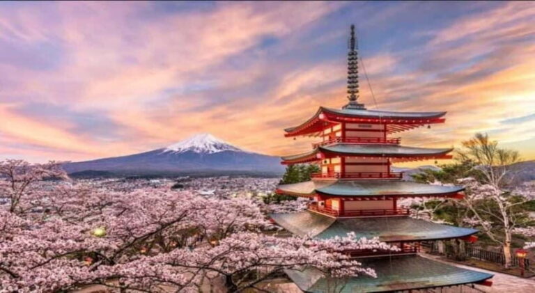 Private Tour to Mt Fuji and Hakone with English Driver - Customization and Optional Stops