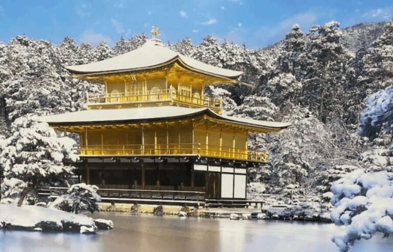 Private tour to Osaka&Kyoto&Nara(Pickup location selectable) - Who Should Consider This Tour?