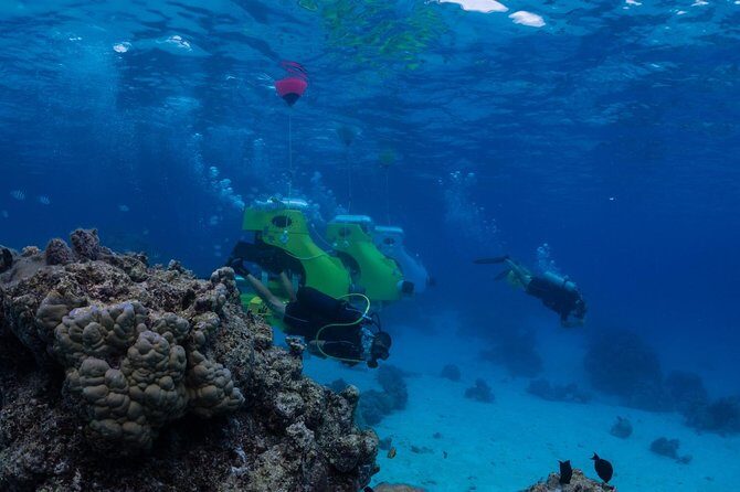 Private Tour: Underwater Scooter Bora Bora - The Practicalities: What to Know Before Booking