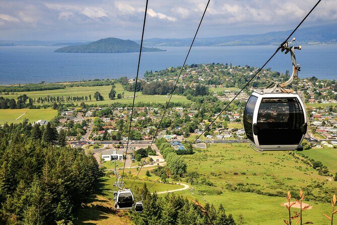 Private Tour Ziplining Forest Adventure from Rotorua - Why This Tour Offers Good Value