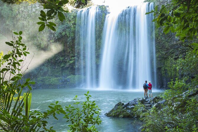 Private Tours in Bay of Islands - Travel Comfort and Flexibility