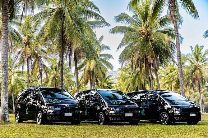 PRIVATE TRANSFER Cairns Airport Port Douglas Minibus (6am-5pm) - FAQ