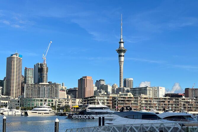 Private Transfer From Auckland City To Auckland Airport - The Real Value of This Transfer Service