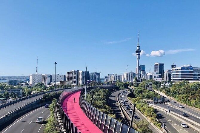 Private Transfer From Auckland City To Auckland Airport Oaks - Detailed Breakdown of the Experience