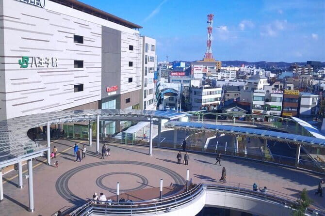 Private Transfer from Haneda Airport to Hachik City, Japan - Practical Details and Tips