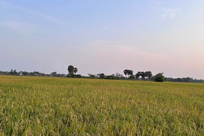 Private Transfer From Siem Reap to Bangkok Thailand - Value and Pricing: Is It Worth It?
