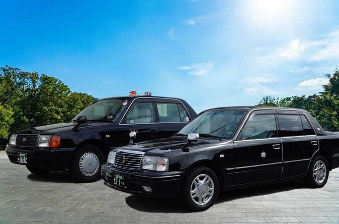 Private Transfer Kochi Airport - The Experience: What to Expect