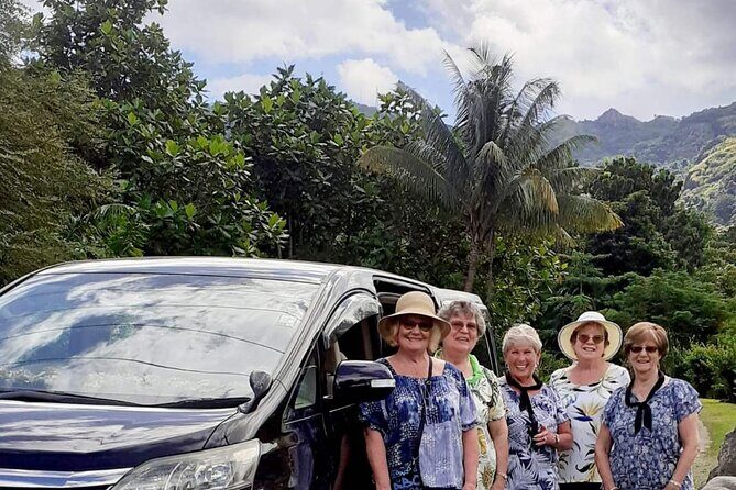 Private Transfer: Sonaisali to Nadi Airport - Vehicle Options and Travel Comfort