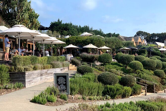 Private Vineyard Bush Walk Tour in Waiheke Island - The Lunch and Additional Costs