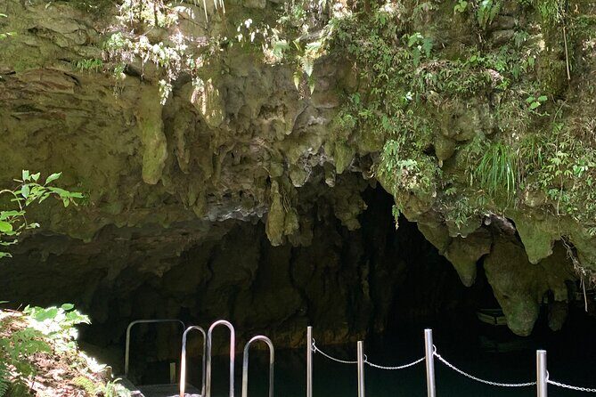 Private Waitomo Caves Tour - Auckland Tour House - Deep Dive into the Itinerary