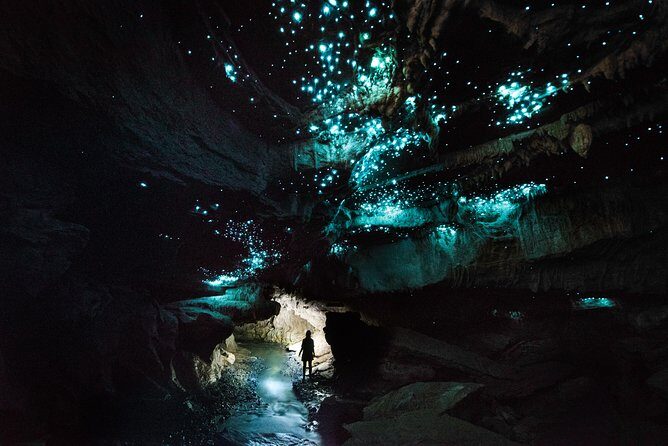 Private Waitomo Glowworm Cave Tours - Analyzing the Value and Cost