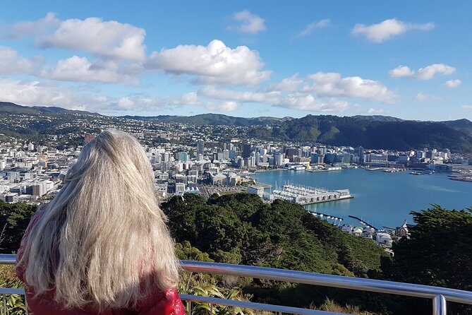 Private Wellington Full Day Sightseeing Tour - What’s Included and How It Enhances the Experience