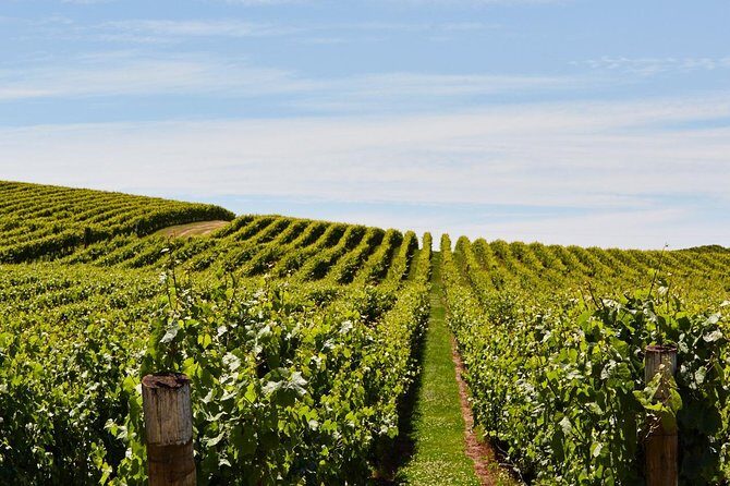 Private West Tamar Wine Tour Book at least 3 days in advance - An In-Depth Look at the Tamar Valley Private Tour