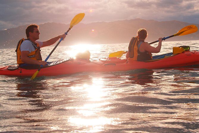 Private Wildlife Kayaking Tour - Kaikoura - How Does It Compare in Terms of Value?