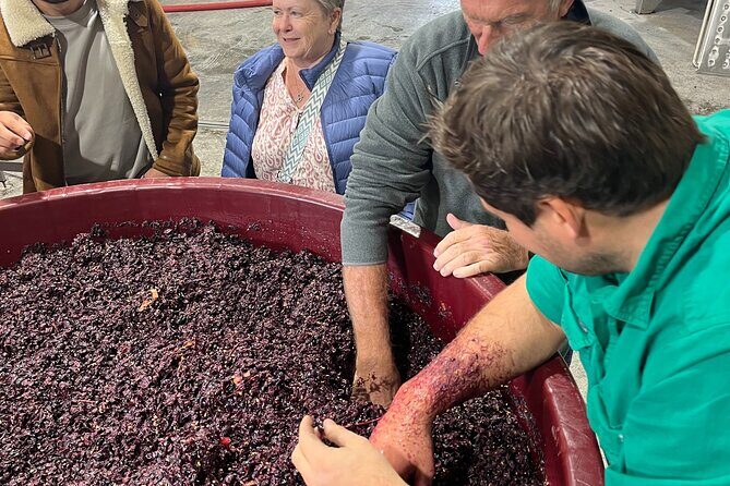 Private Wine Tasting Experience - Whats Included and Whats Not?