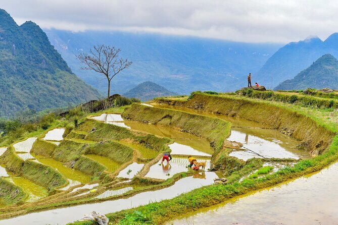 Pu Luong Full Day Trek Terraces Weaving and Waterfall Lunch - Who Will Love This Tour?