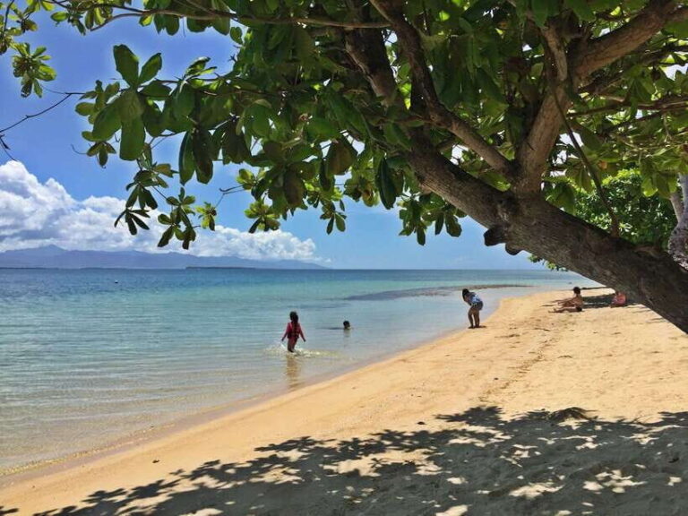 Puerto Princesa: Cowrie Island Guided Day Tour with Meal - The Practical Details: Transportation, Duration, and Cost